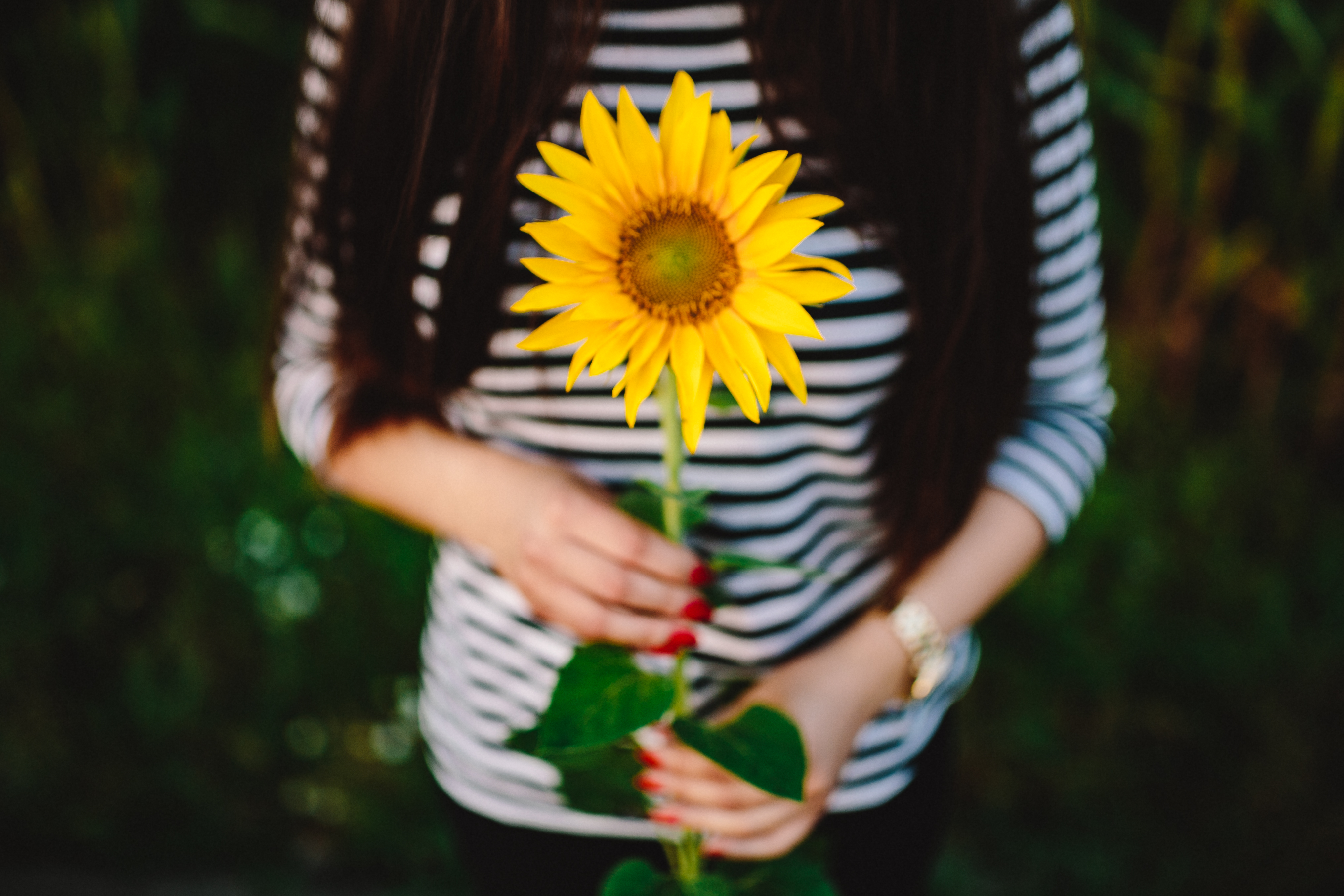 kaboompics_Young couple with sunflower